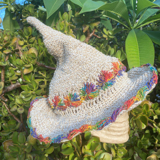 Witchy Hat with Rainbow Brim